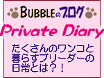 BUBBLE�̃o�u���O�H