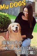 ��Ƃ̌��̌��ɂ�鎩�ȏЉ�ł�