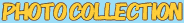 �K���̎ʐ^�W�I