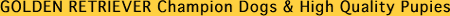 �S�[���f�����g���[�o�[�� Bubble Company