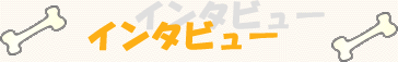 �C���^�r���[