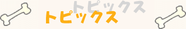 �g�s�b�N�X